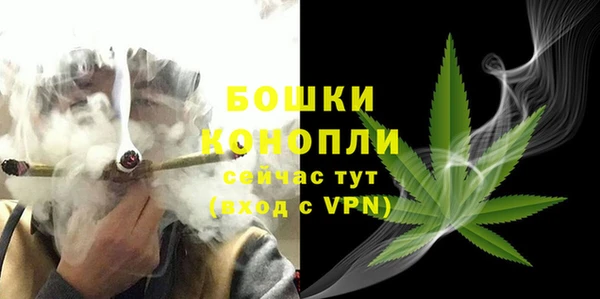твердый Ладушкин