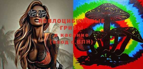 синтетический гашиш Лабытнанги