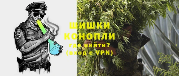 твердый Ладушкин