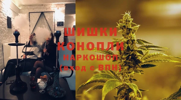 твердый Ладушкин